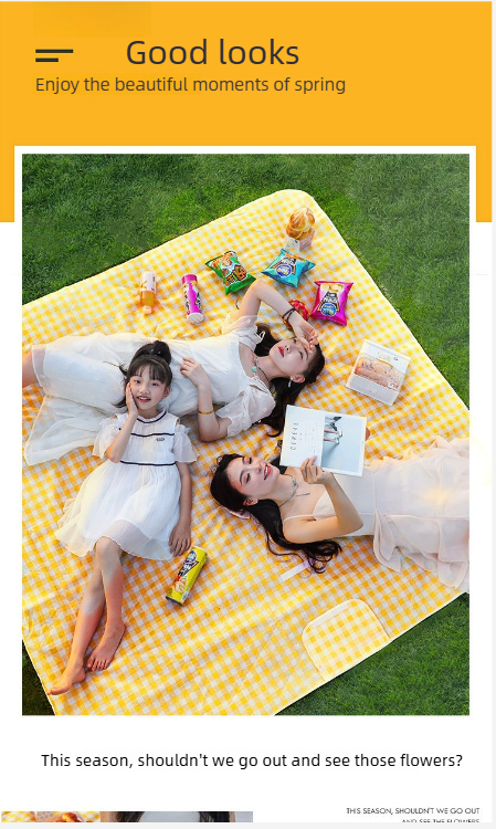 Waterproof Picnic Blanket & Camping Mat For Outdoor Comfort_voghion.com