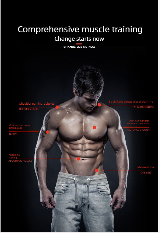 Roulette abdominale multifonction pour exercices de gainage_voghion.com