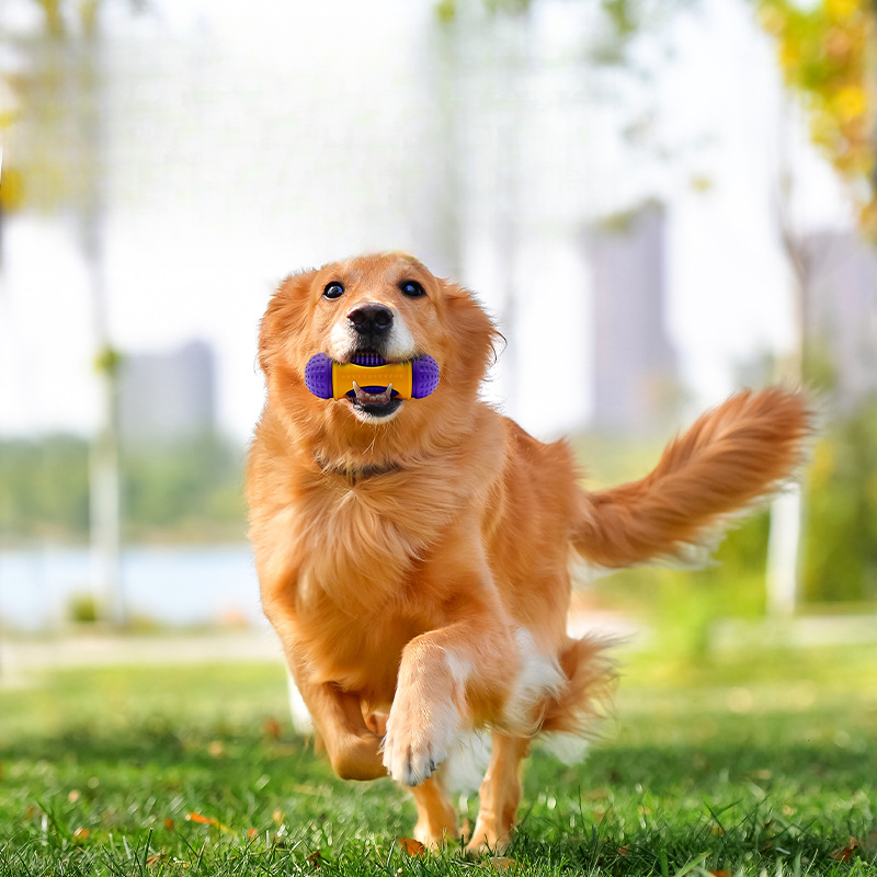 Natural Rubber Multi-Functional Food-Hiding Dog Toy, Teeth Cleaning, Durable Chew, Interactive Pet Toy_voghion.com