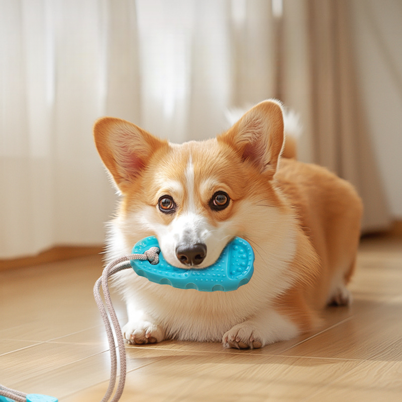 Dog Suction Cup Slippers Durable Chew Toy Teeth Grinding Food Dispensing Ball Boredom Relief And Energy Consumption For_voghion.com