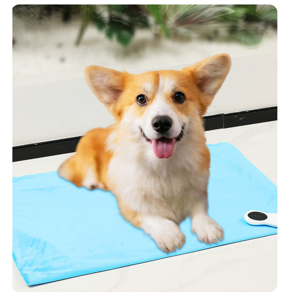 Pet Dog Cat Waterproof Scratch-Resistant Bite-Resistant Electric Blanket Rabbit Warm Thickened Constant Temperature_voghion.com