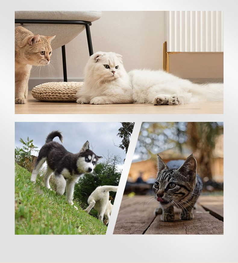 Upgraded Adjustable Angle Vlog Pet Perspective Thumb Camera_voghion.com