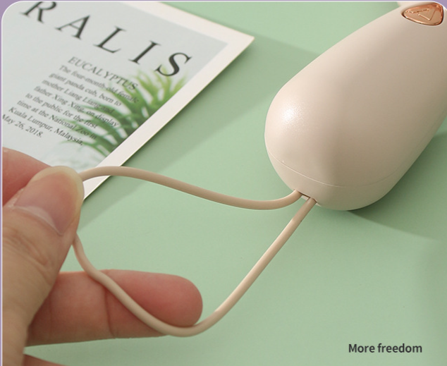 Minimalist Handheld With LED Portable Small USB Rechargeable Electric Fan_voghion.com