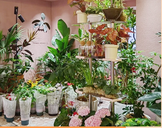 Artificial Fortune Leaves For Home Decor Green Plant Display_voghion.com