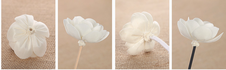 Core Rose Tongcao Flameless Dried Volatile Accessories Diffuser Aromatherapy Artificial Flower_voghion.com