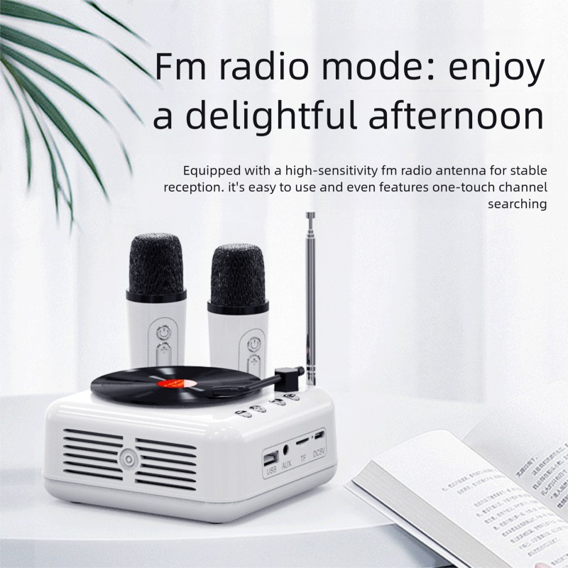 Giradischi in vinile Karaoke Bluetooth Mini altoparlante wireless regalo di compleanno per donne e uomini_voghion.com