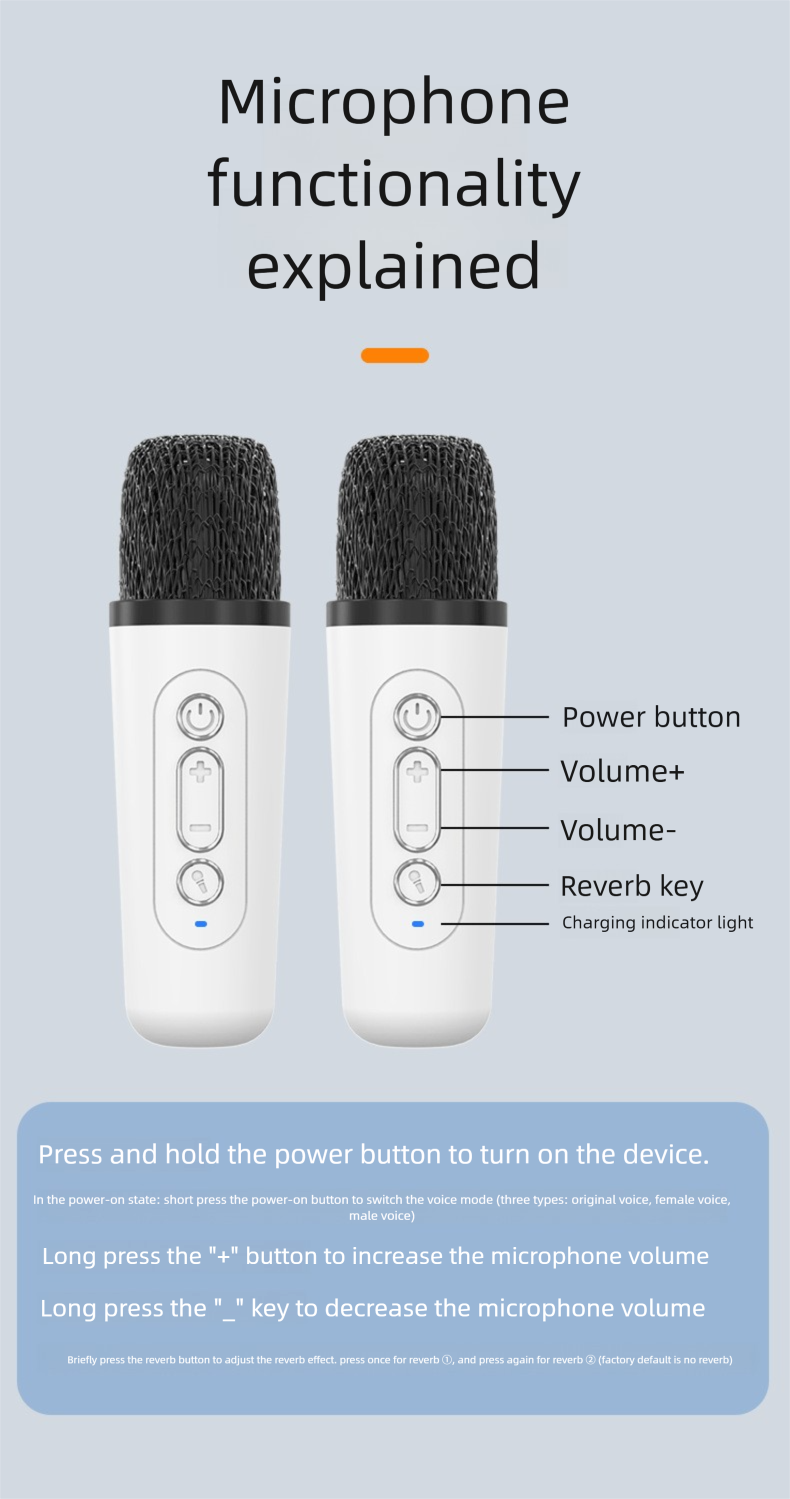 Giradischi in vinile Karaoke Bluetooth Mini altoparlante wireless regalo di compleanno per donne e uomini_voghion.com