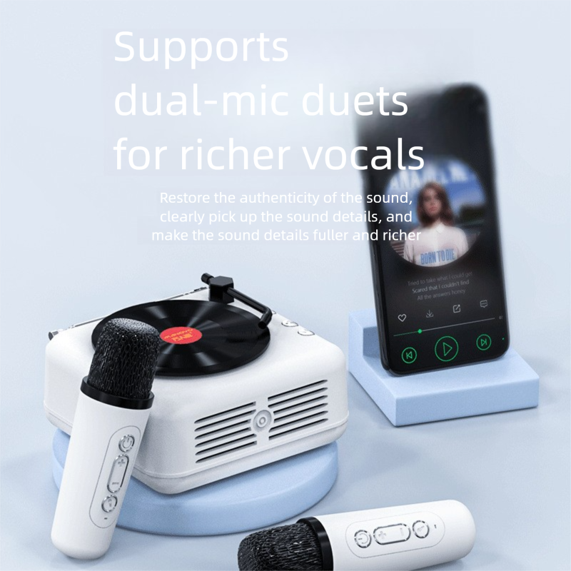 Giradischi in vinile Karaoke Bluetooth Mini altoparlante wireless regalo di compleanno per donne e uomini_voghion.com
