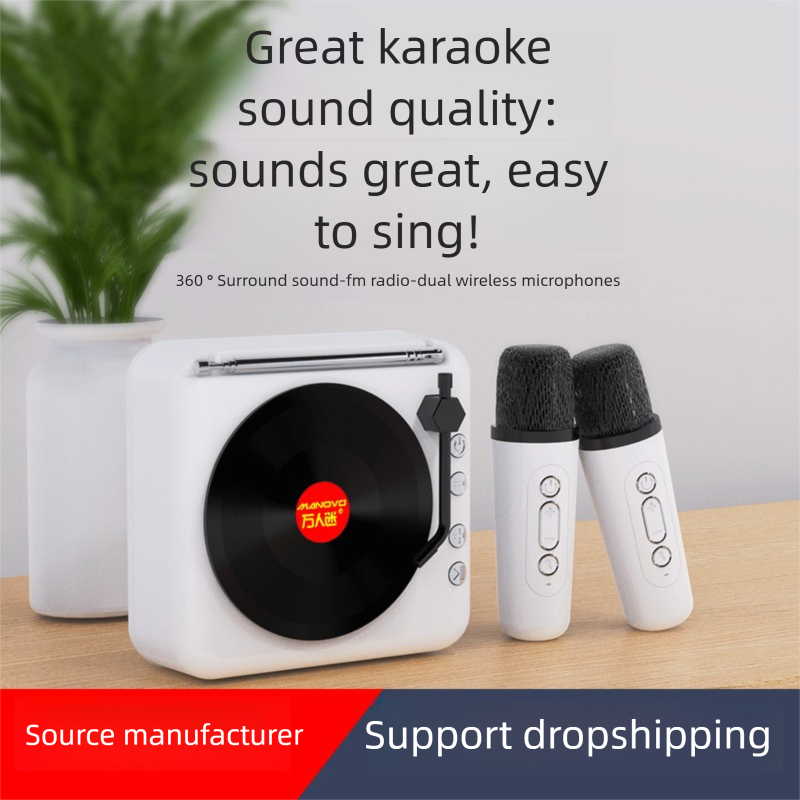 Giradischi in vinile Karaoke Bluetooth Mini altoparlante wireless regalo di compleanno per donne e uomini_voghion.com