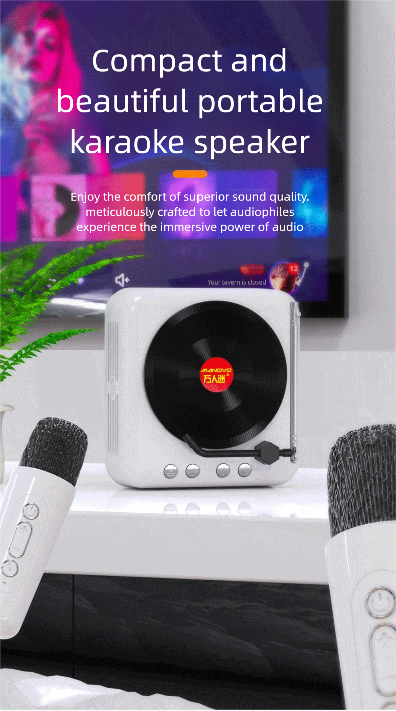Giradischi in vinile Karaoke Bluetooth Mini altoparlante wireless regalo di compleanno per donne e uomini_voghion.com