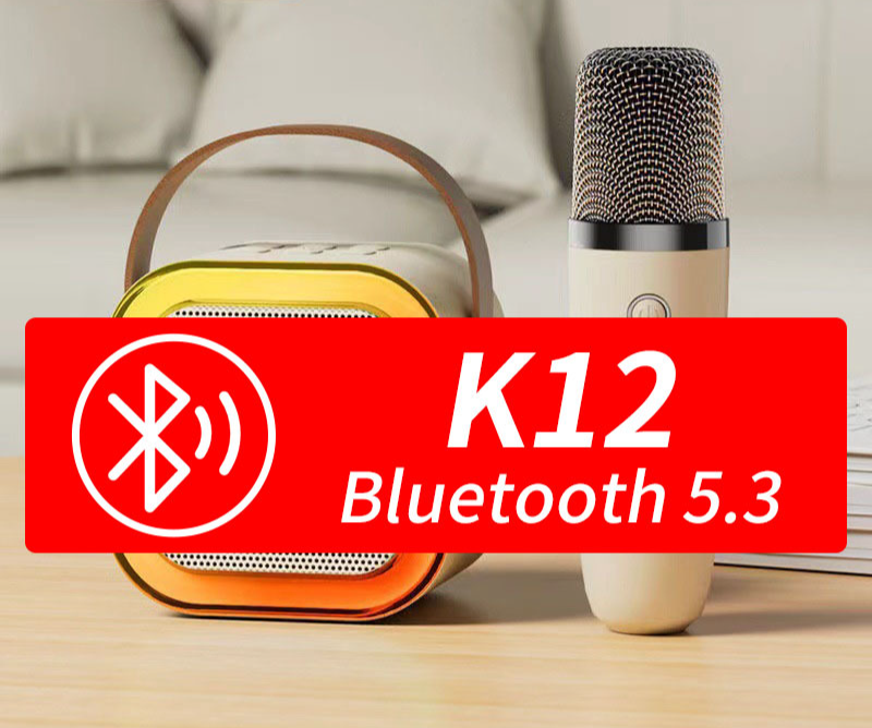 K12 Bluetooth Karaoke-Lautsprecher Kleines Audio Drahtloses Mikrofon Subwoofer Kinder-Gesangsmaschine_voghion.com