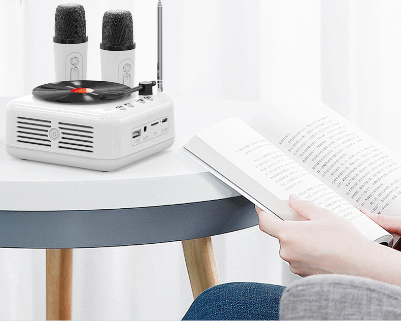 Giradischi in vinile Karaoke Bluetooth Mini altoparlante wireless regalo di compleanno per donne e uomini_voghion.com