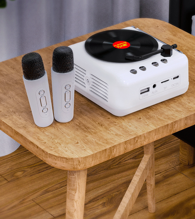 Giradischi in vinile Karaoke Bluetooth Mini altoparlante wireless regalo di compleanno per donne e uomini_voghion.com