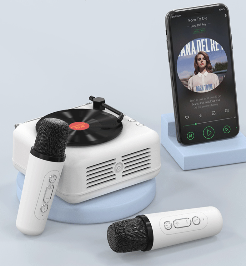 Giradischi in vinile Karaoke Bluetooth Mini altoparlante wireless regalo di compleanno per donne e uomini_voghion.com