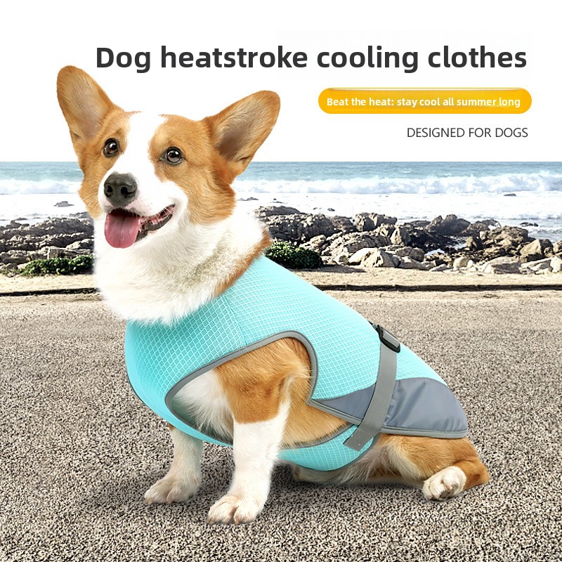 Colete refrescante para cães contra o calor leve e respirável_voghion.com