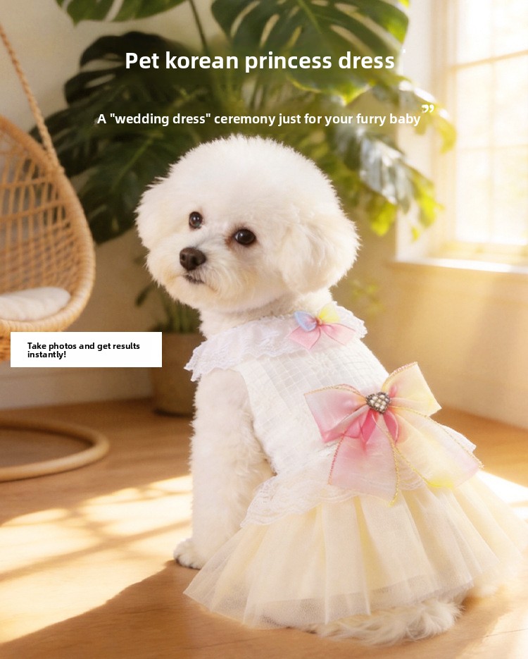 Princess Summer Gradient Lace Dress For Small Dogs And Cats_voghion.com