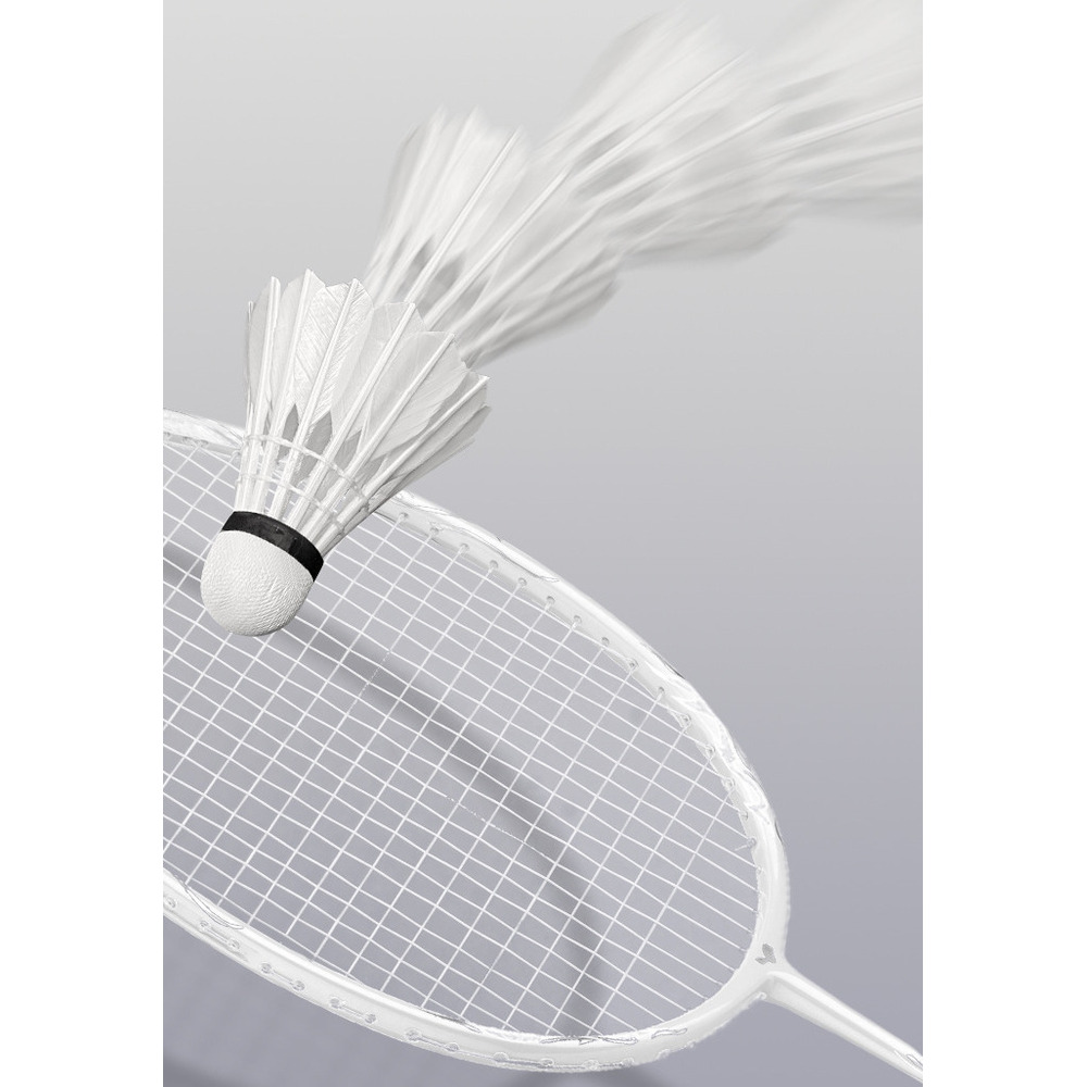 Light Duck Feather Competition Training For Daily Badminton_voghion.com