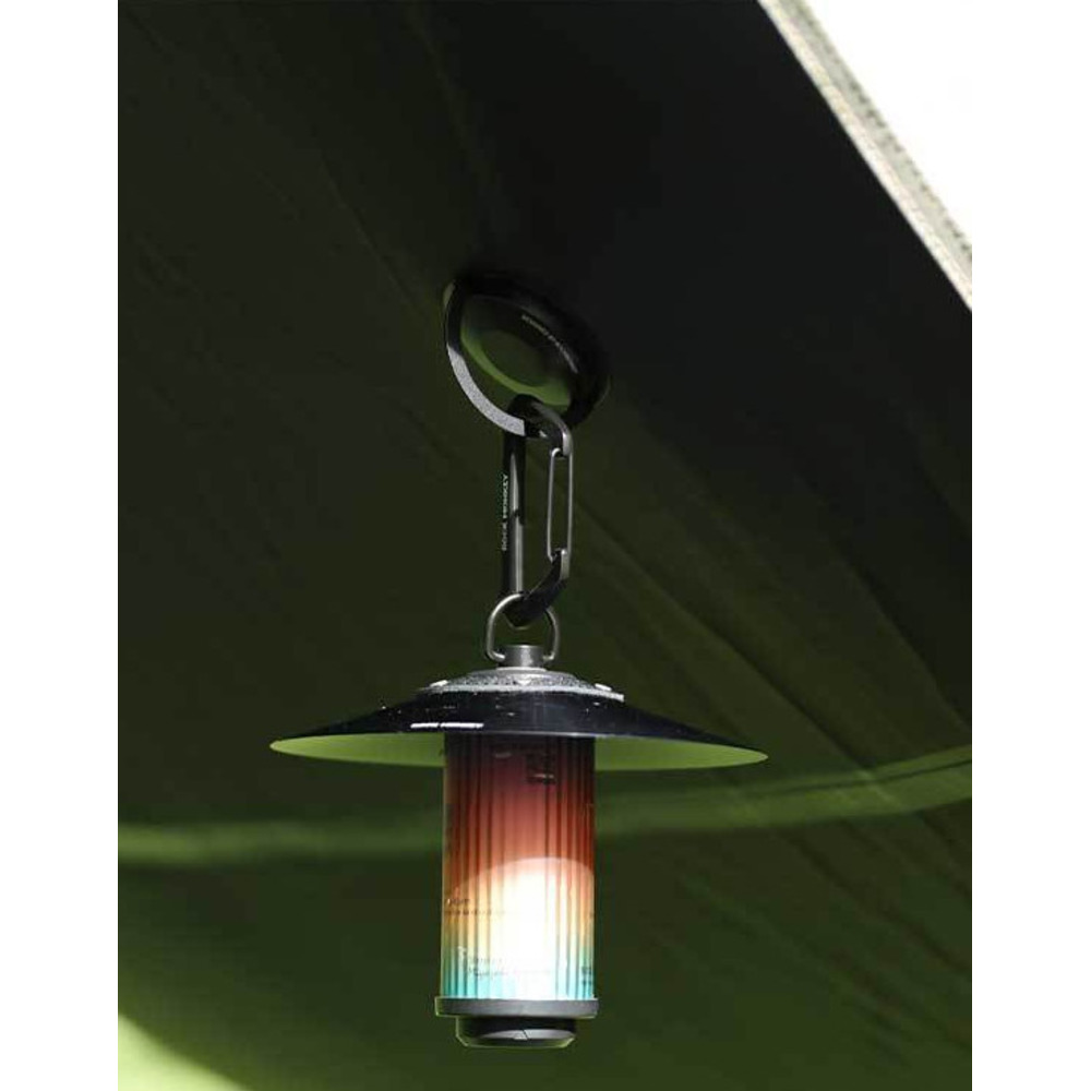 ROCK MONKEY Outdoor Camping D-vormige zinklegering sleutelhanger rugzak waterfles multifunctionele wandelhaak_voghion.com