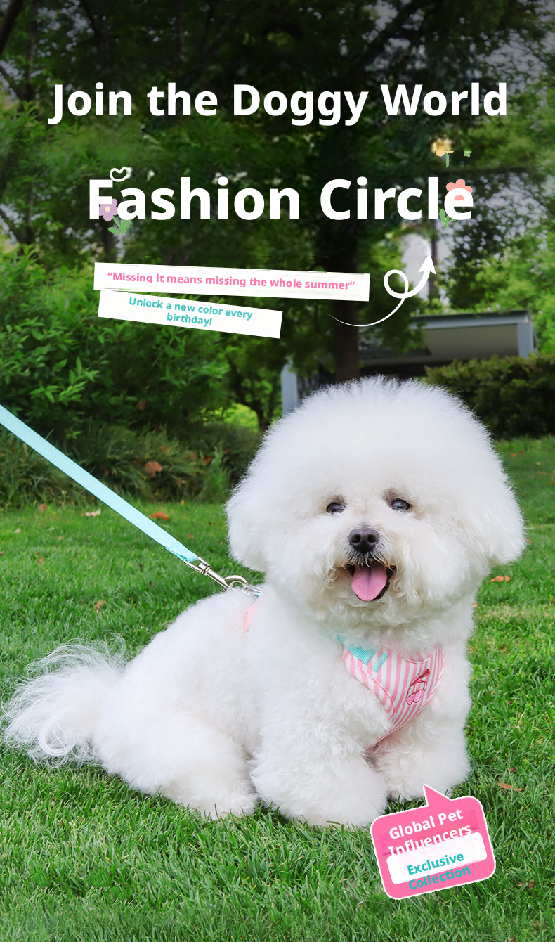 Pet Harness And Leash Set For Medium And Small Dogs Anti Escape_voghion.com