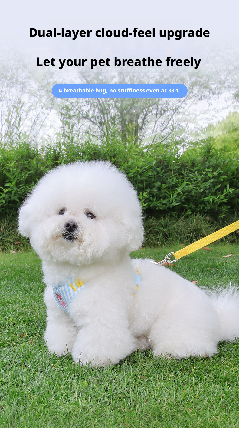 Pet Harness And Leash Set For Medium And Small Dogs Anti Escape_voghion.com