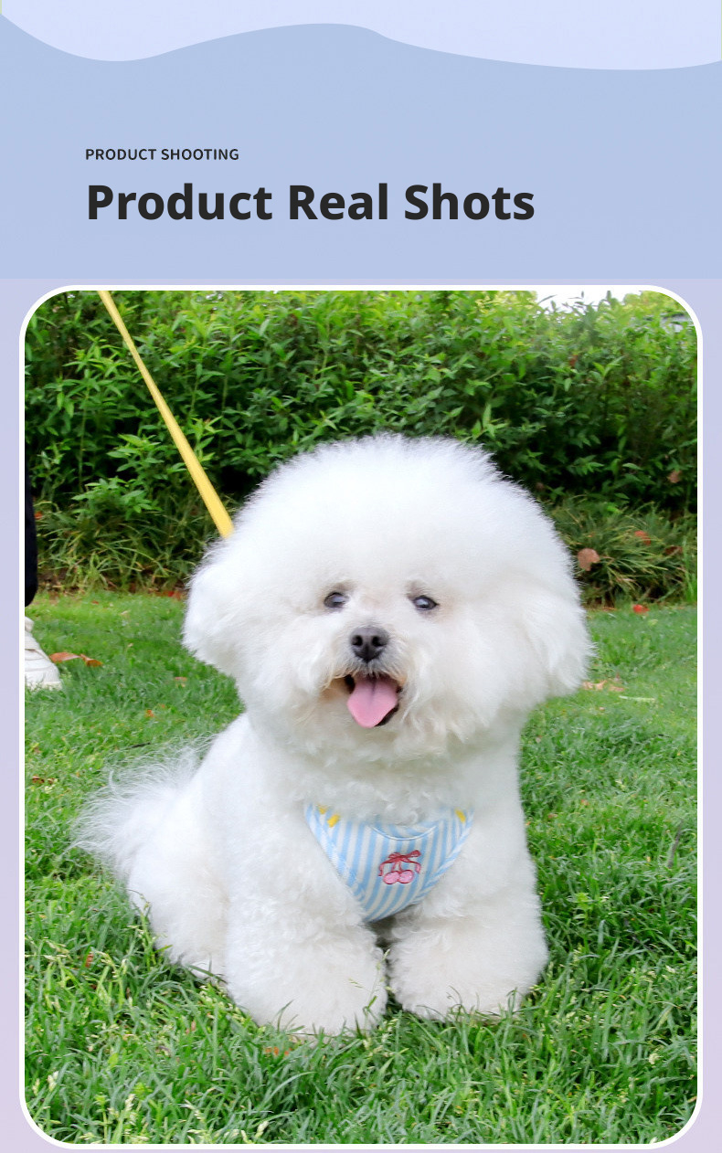 Pet Harness And Leash Set For Medium And Small Dogs Anti Escape_voghion.com