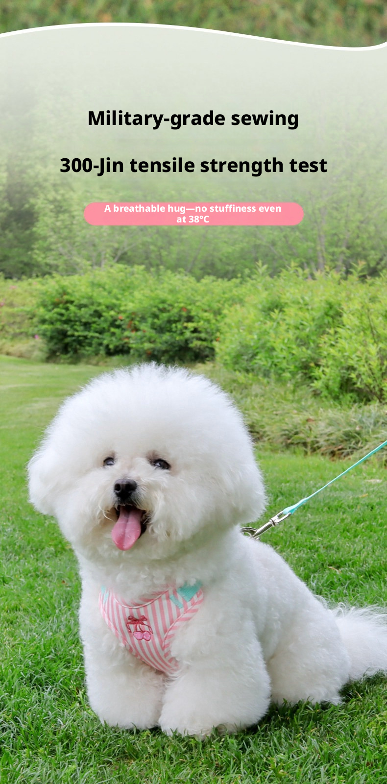 Pet Harness And Leash Set For Medium And Small Dogs Anti Escape_voghion.com