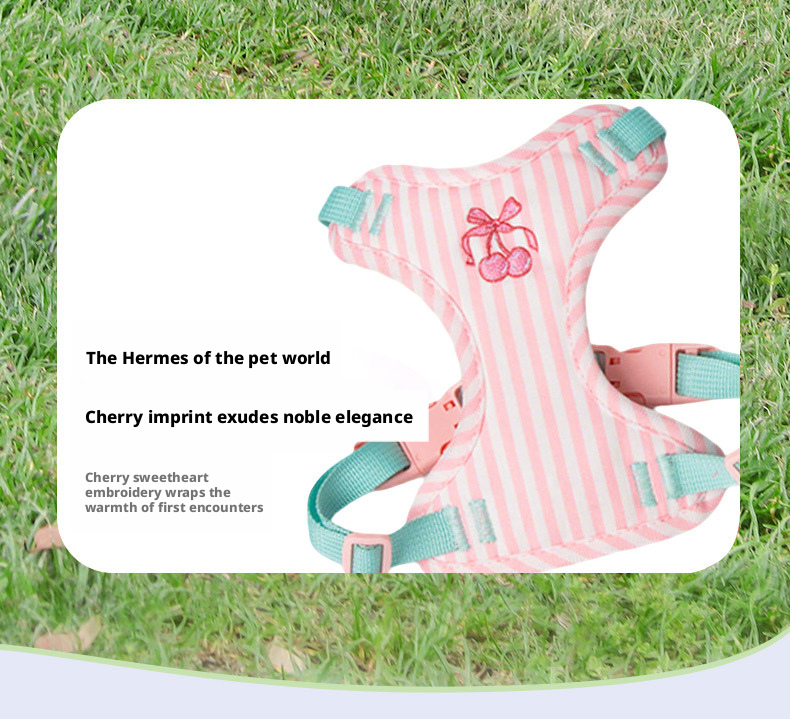 Pet Harness And Leash Set For Medium And Small Dogs Anti Escape_voghion.com