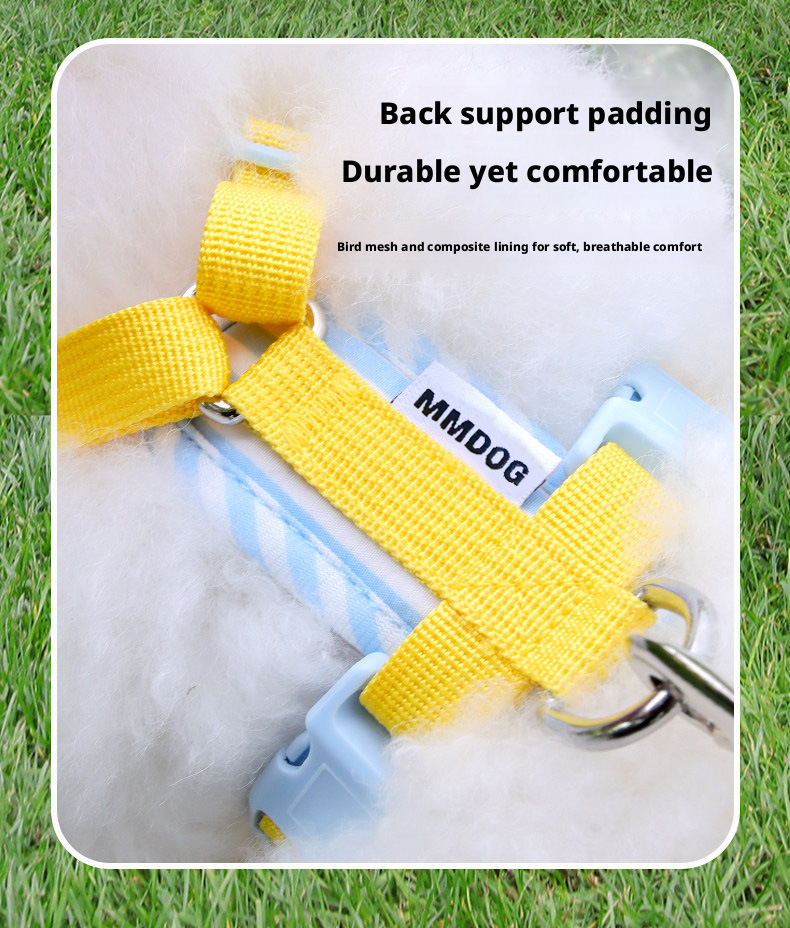 Pet Harness And Leash Set For Medium And Small Dogs Anti Escape_voghion.com